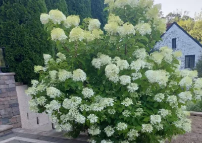 Affordable Landscaping Contractor in Yonkers NY