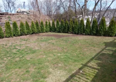 Affordable Landscaping Specialist in Yonkers NY