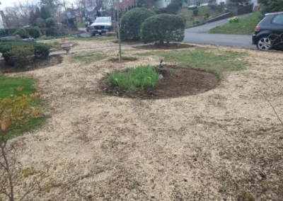 Experienced Landscaping Specialist in Yonkers NY