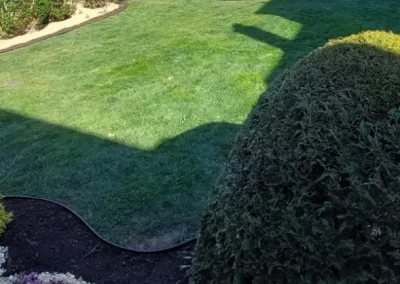 Landscaping Contractor in Yonkers NY