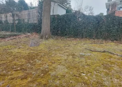 Landscaping Specialist in Yonkers NY