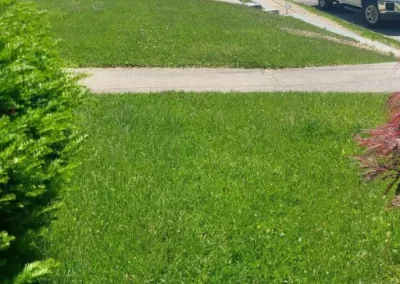 Preferred Landscaping Contractor in Yonkers NY