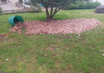 Reliable Landscaping Contractor in Yonkers NY