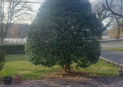 Skilled Landscaper in Yonkers NY