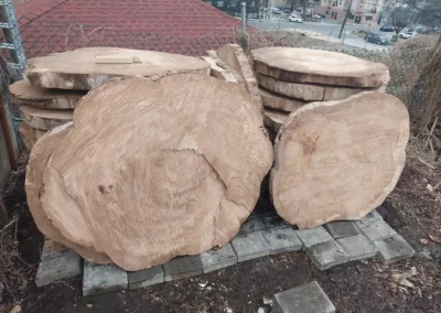 Skilled Landscaping Specialist in Yonkers NY