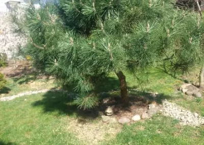 Small Backyard Landscaping in Yonkers NY