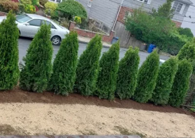 Trusted Landscaper in Yonkers NY
