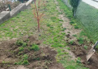 Trusted Landscaping Contractor in Yonkers NY