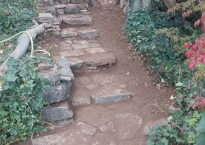 Trusted Landscaping Specialist in Yonkers NY